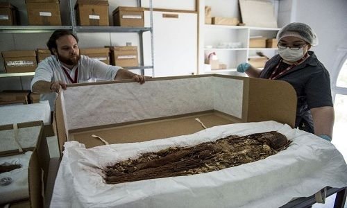 Discover the secrets inside the world's oldest mummy 0