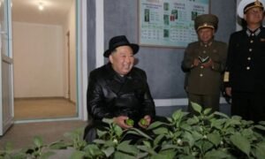 Kim Jong-un's food crisis response message 3